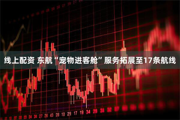线上配资 东航“宠物进客舱”服务拓展至17条航线