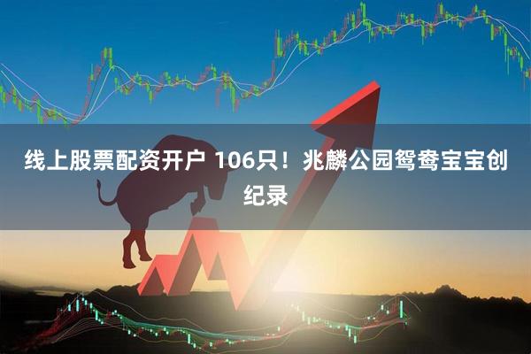线上股票配资开户 106只！兆麟公园鸳鸯宝宝创纪录
