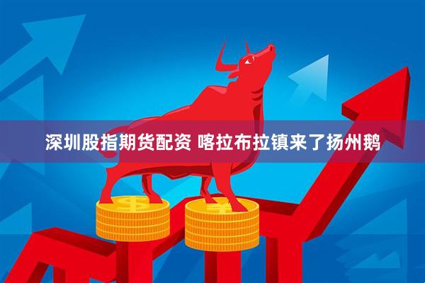 深圳股指期货配资 喀拉布拉镇来了扬州鹅