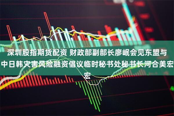 深圳股指期货配资 财政部副部长廖岷会见东盟与中日韩灾害风险融资倡议临时秘书处秘书长河合美宏