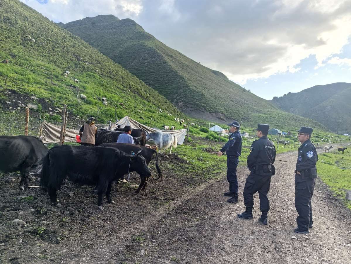 6913e6986b8e45156f3341c0_m